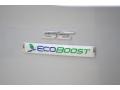 2014 Ingot Silver Ford Escape SE 1.6L EcoBoost  photo #13