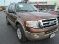 2011 Golden Bronze Metallic Ford Expedition XLT #87957727