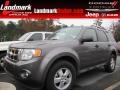 2010 Sterling Grey Metallic Ford Escape XLT  photo #1