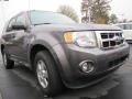 2010 Sterling Grey Metallic Ford Escape XLT  photo #4