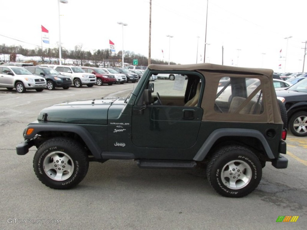 2000 Wrangler Sport 4x4 - Forest Green Pearl / Camel photo #5