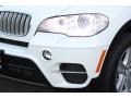 Alpine White - X5 xDrive35d Photo No. 30