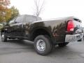 Black Gold Pearl - 3500 Big Horn Crew Cab Dually Photo No. 2