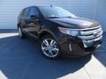 2013 Kodiak Brown Metallic Ford Edge Limited  photo #1