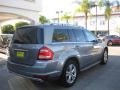 Palladium Silver Metallic - GL 450 4Matic Photo No. 2