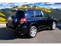 2010 Black Toyota RAV4 Limited 4WD  photo #3