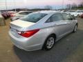 Radiant Silver - Sonata GLS Photo No. 7