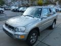 Quicksilver - RAV4 4WD Photo No. 3