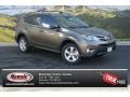 Pyrite Mica - RAV4 XLE AWD Photo No. 1