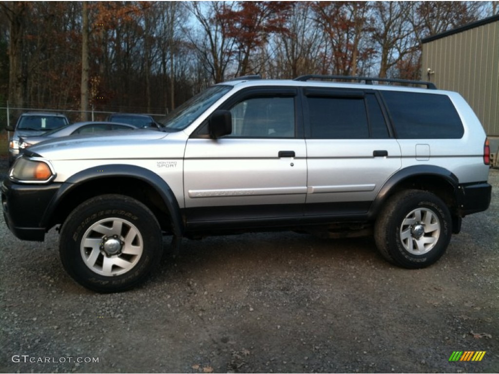 2002 Montero Sport XLS 4x4 - Munich Silver Metallic / Gray photo #1