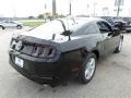 Black - Mustang V6 Coupe Photo No. 5