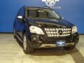 Black - ML 350 4Matic Photo No. 2