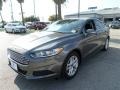 Sterling Gray - Fusion SE EcoBoost Photo No. 1