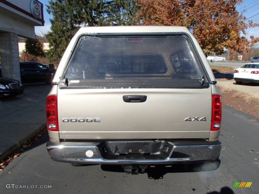 2004 Ram 1500 SLT Regular Cab 4x4 - Light Almond Pearl / Dark Slate Gray photo #7