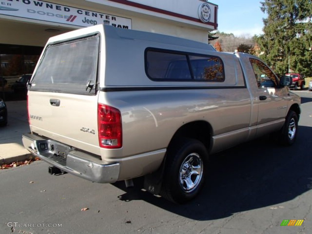 2004 Ram 1500 SLT Regular Cab 4x4 - Light Almond Pearl / Dark Slate Gray photo #8