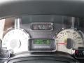 2014 Ford Expedition King Ranch Gauges