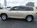 Sandy Beach Metallic - Highlander  Photo No. 3