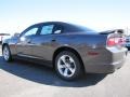 Granite Crystal Metallic - Charger SE Photo No. 2