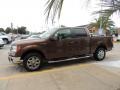 2011 Golden Bronze Metallic Ford F150 XLT SuperCrew  photo #5