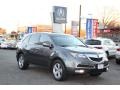 Polished Metal Metallic - MDX Technology Photo No. 1