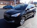 2013 Tuxedo Black Metallic Ford Escape SEL 2.0L EcoBoost 4WD  photo #4