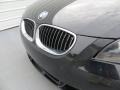 Jet Black - 5 Series 545i Sedan Photo No. 10