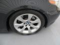 Jet Black - 5 Series 545i Sedan Photo No. 14