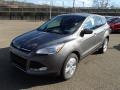 2014 Sterling Gray Ford Escape SE 1.6L EcoBoost  photo #4