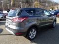 2014 Sterling Gray Ford Escape SE 1.6L EcoBoost  photo #8