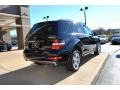 Black - ML 350 4Matic Photo No. 11
