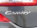 2014 Magnetic Gray Metallic Toyota Camry LE  photo #13