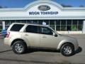2012 Gold Leaf Metallic Ford Escape Limited 4WD  photo #1