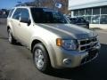 2012 Gold Leaf Metallic Ford Escape Limited 4WD  photo #8