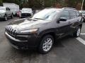 Granite Crystal Metallic 2014 Jeep Cherokee Latitude Exterior