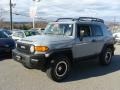 2013 Trail Teams Cement Gray Toyota FJ Cruiser Trail Teams Special Edition 4WD  photo #3