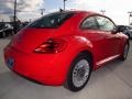 Tornado Red - Beetle 2.5L Photo No. 6