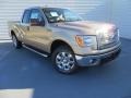 Pale Adobe Metallic - F150 XLT SuperCab Photo No. 1