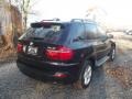 2009 Carbon Black Metallic BMW X5 xDrive30i  photo #3