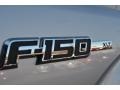 2013 Ingot Silver Metallic Ford F150 XLT SuperCab  photo #15
