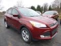 Sunset 2014 Ford Escape Gallery