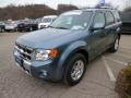 2012 Steel Blue Metallic Ford Escape Limited 4WD  photo #4