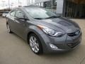 Gray - Elantra Limited Photo No. 8