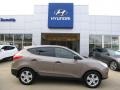 Chai Bronze 2012 Hyundai Tucson GL