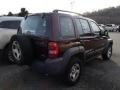 2004 Deep Molten Red Pearl Jeep Liberty Sport 4x4  photo #4