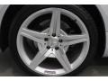Iridium Silver Metallic - SL 550 Roadster Photo No. 8