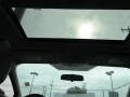 Ingot Silver - Focus Titanium Sedan Photo No. 11