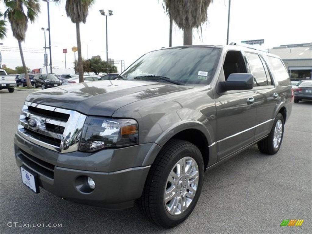 2014 Expedition Limited - Sterling Gray / Charcoal Black photo #1