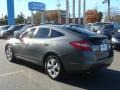 Polished Metal Metallic - Accord Crosstour EX-L 4WD Photo No. 6