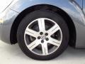 Platinum Grey - New Beetle TDI Coupe Photo No. 10