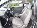 Platinum Grey - New Beetle TDI Coupe Photo No. 13